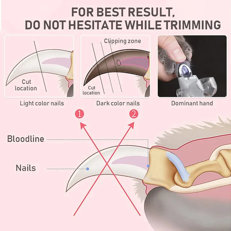 Professional Pet Nail Clipper Scissors