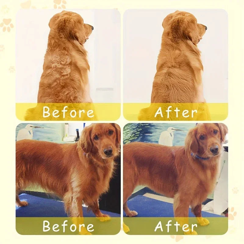 Cat Steam Brush Electric Spray Water Spray Kitten Pet Comb Soft Silicone Depilation Cats Bath Hair Brush Grooming Supplies