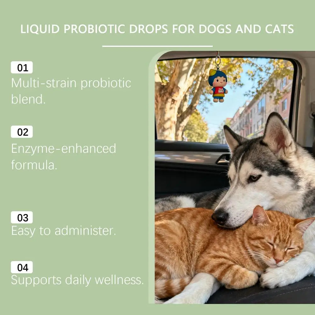 Pet Nutrition Supplement Probiotic Drops Containing Enzymes Used For Pet Digestion And Immune Support Daily Health Supplement
